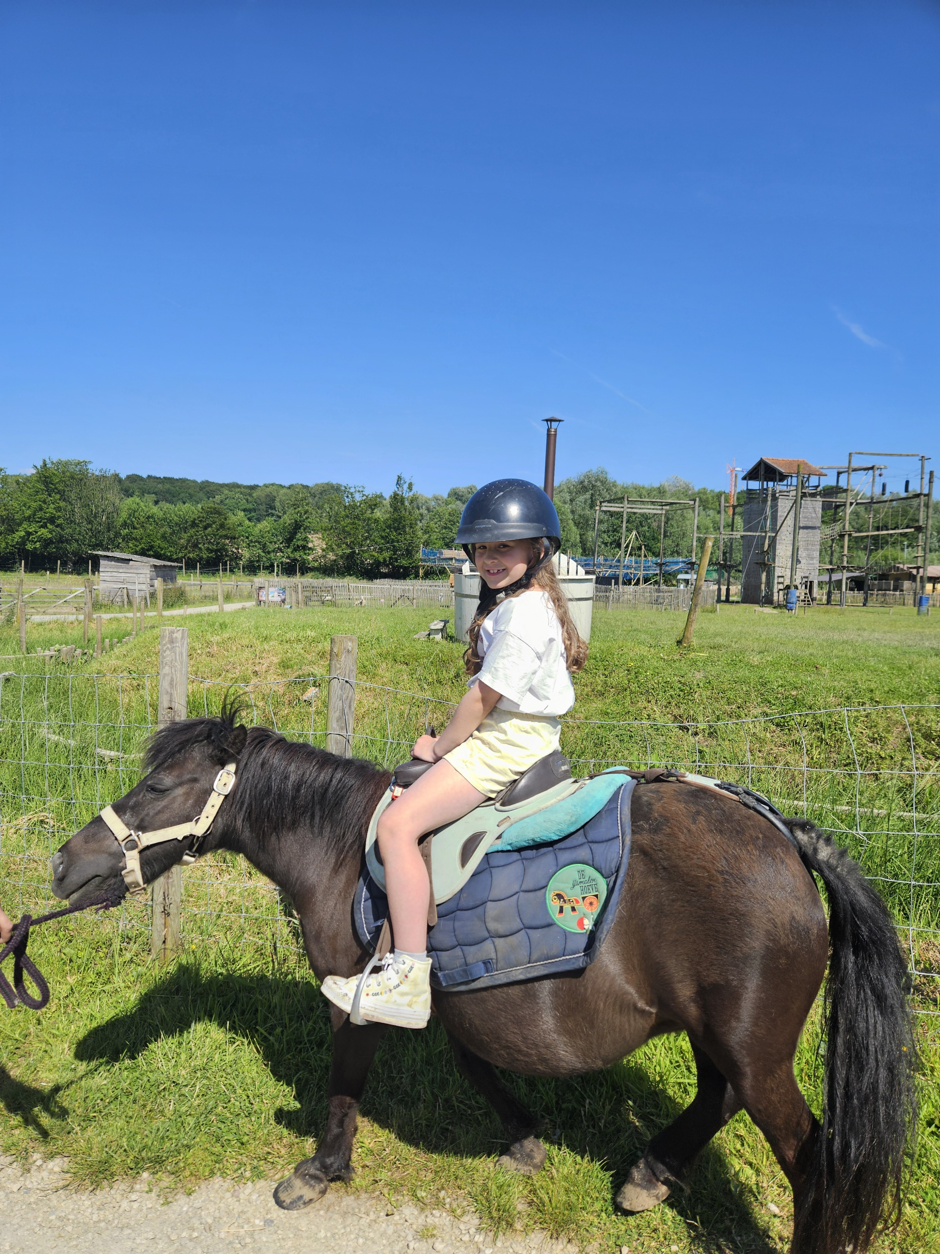Ezel of ponyritje op het domein